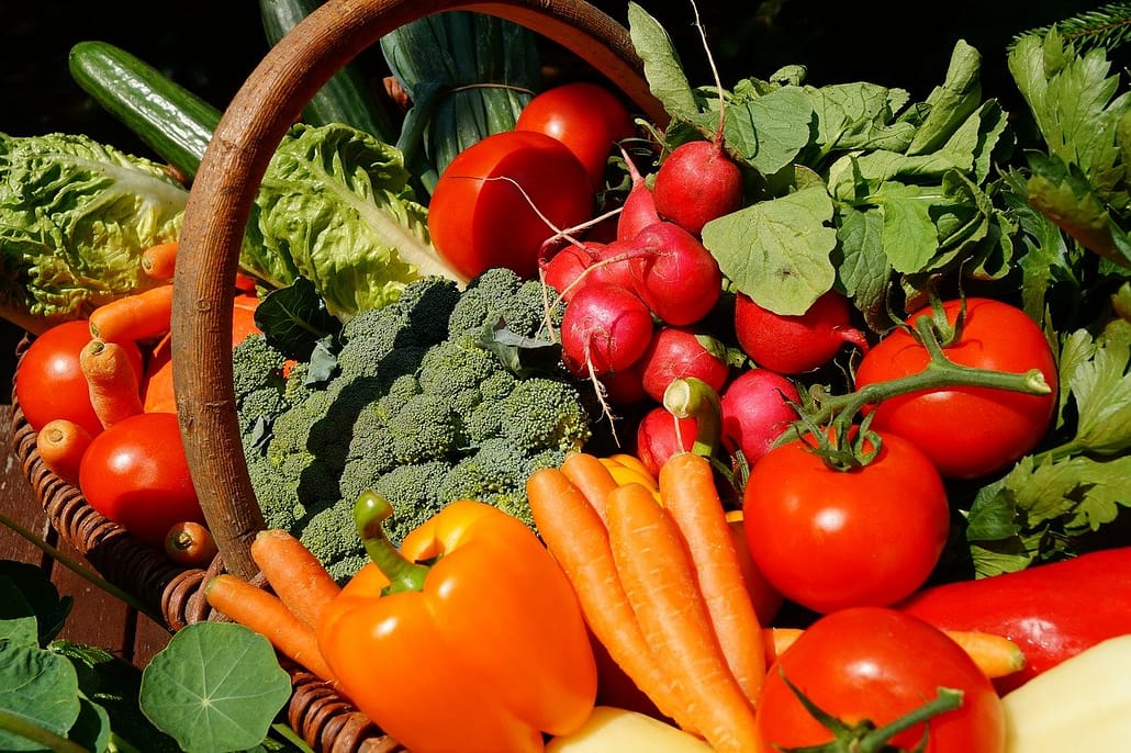 healthy organic garden - crop rotation