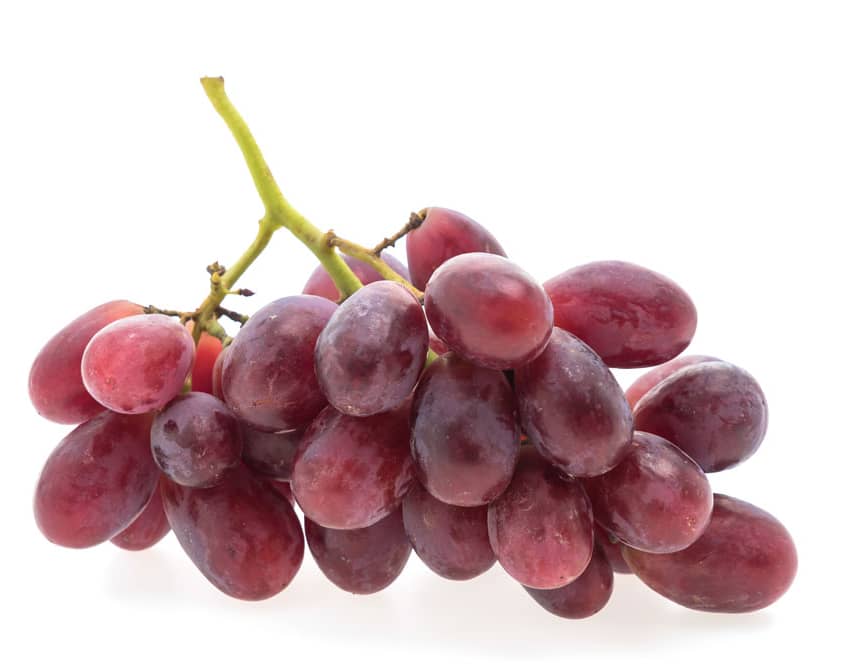 Red grapes - anti-aging natural ingredients
