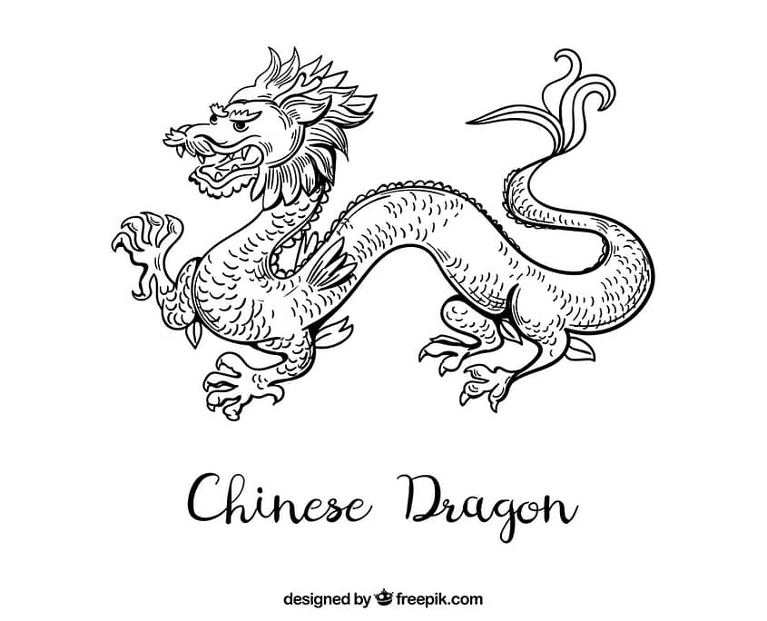 sample dragon tattoo